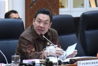 Wakil Ketua Komisi IX DPR RI, Charles Honoris. (Dok. DPR RI)