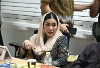 Anggota Komisi VII DPR RI Novita Hardini. (Dok. DPR RI)
