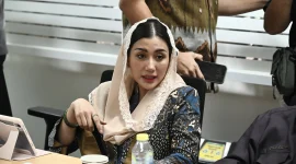 Anggota Komisi VII DPR RI Novita Hardini. (Dok. DPR RI)