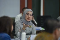 Ketua Komisi VI DPR RI Anggia Erma Rini. (Dok. DPR RI)