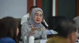 Ketua Komisi VI DPR RI Anggia Erma Rini. (Dok. DPR RI)