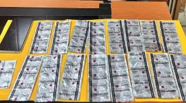 Polisi Ungkap Dugaan Peredaran Pil Trihexyphenidyl, Dua Orang Diamankan di Ngawi. (Dok. Polres Ngawi)