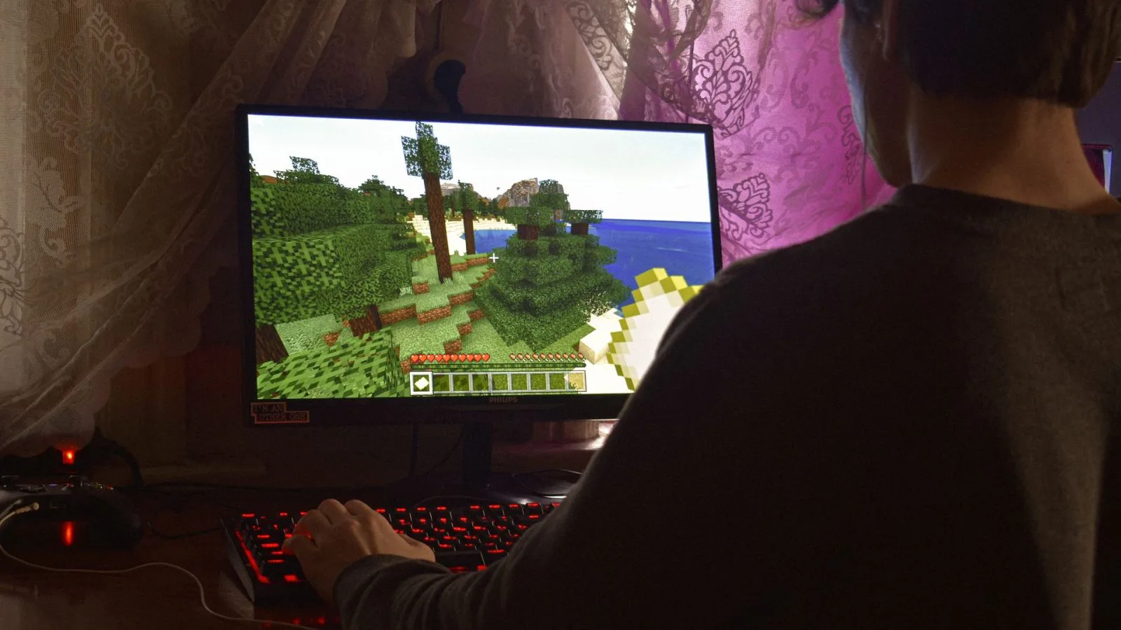 Seorang gamer sedang memainkan Minecraft. (Foto: Pexels)