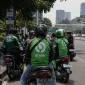 Sejumlah pengemudi ojek online atau ojol sedang menunggu penumpang di Jakarta. (AI)