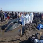 Paus Bungkuk Sepanjang Tujuh Meter Mati Setelah Terdampar di Perairan Dangkal Jembrana Bali. (Dok. KKP)