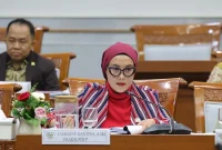 Anggota Komisi VIII DPR RI Selly Andriany Gantina. (Dok. DPR RI)