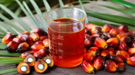 Ilustrasi minyak kelapa sawit mentah (crude palm oil/CPO). (AI)