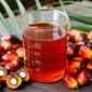Ilustrasi minyak kelapa sawit mentah (crude palm oil/CPO). (AI)