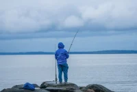 Ilustrasi memancing ikan di laut. (Foto: Pexels)