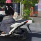 Ilustrasi seorang perempuan mengendarai motor matik. (Foto: Pexels)
